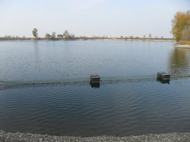 SAM_0995.JPG