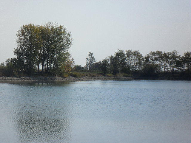 SAM_0986.JPG