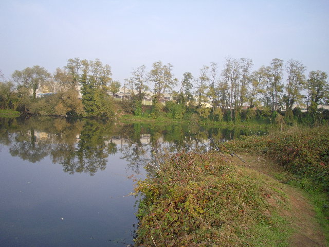SAM_1590.JPG