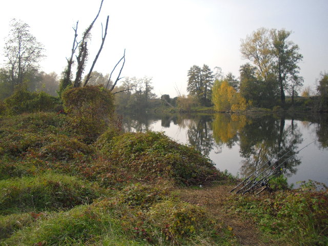 SAM_1591.JPG