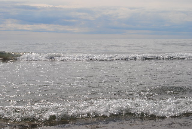 Immagine 147.jpg