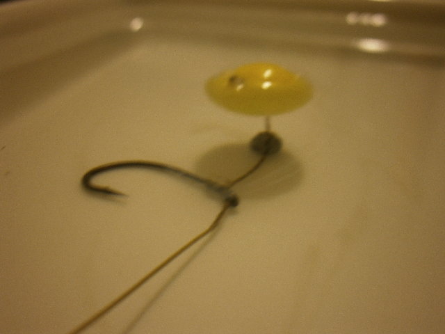 PB090193.JPG