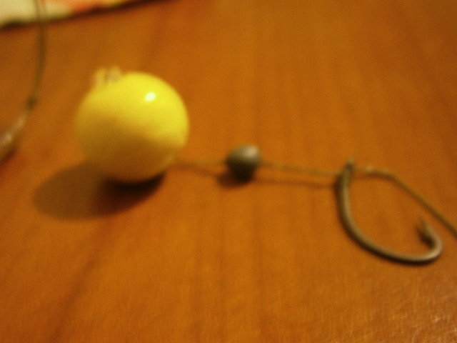 PB090194.JPG