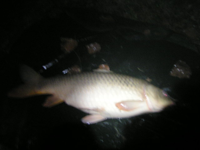 PICT0055.JPG