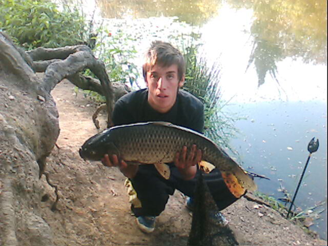 img009.jpg