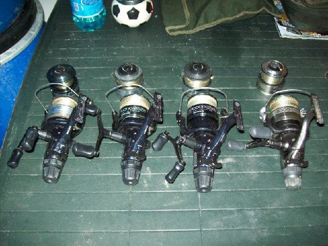 101_0657_800x600.jpg