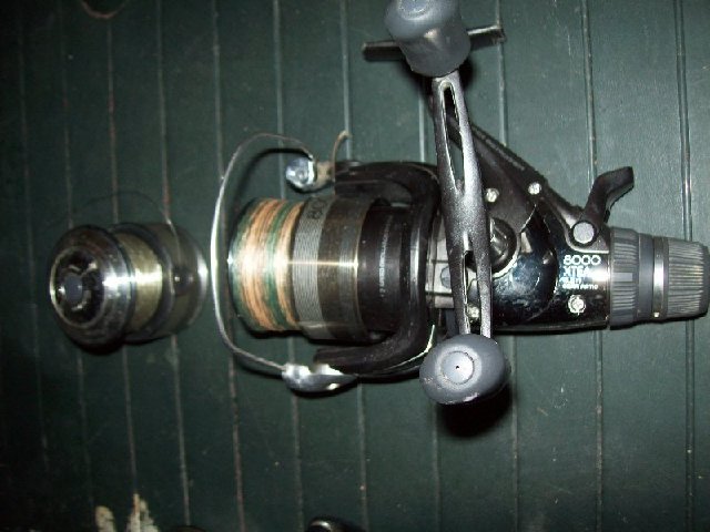 101_0658_800x600.jpg