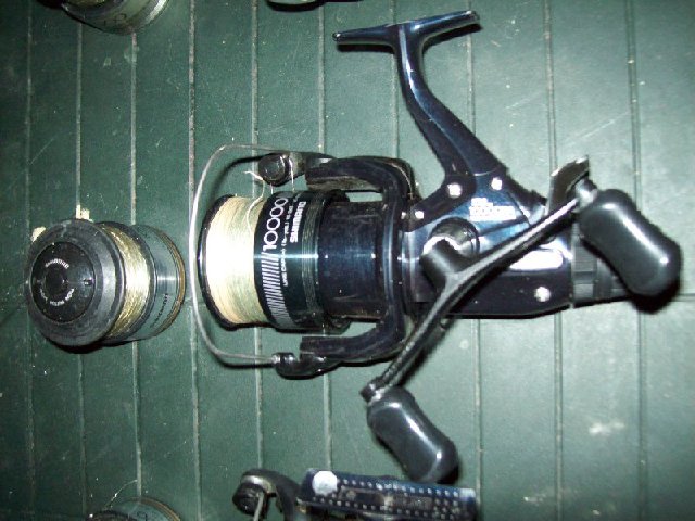 101_0659_800x600.jpg