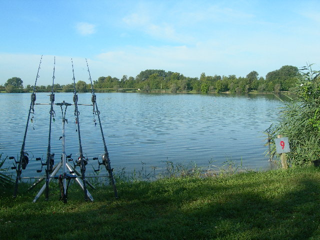 DSCN0430.JPG