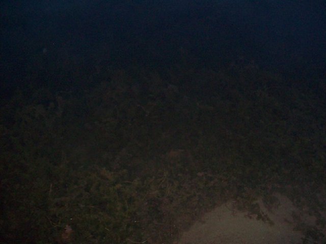 101_0711_800x600.jpg