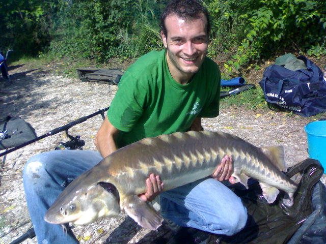 Storione 21kg.jpg