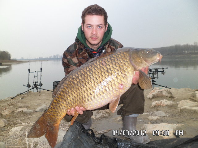 SAM_0113.JPG