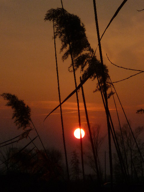 P1000951.JPG