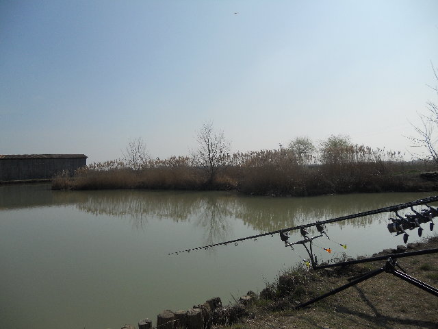 fiumazzo 21 03 12 003.jpg (4.81 MiB) Visto 4562 volte fiumazzo 21 03 12 003.jpg