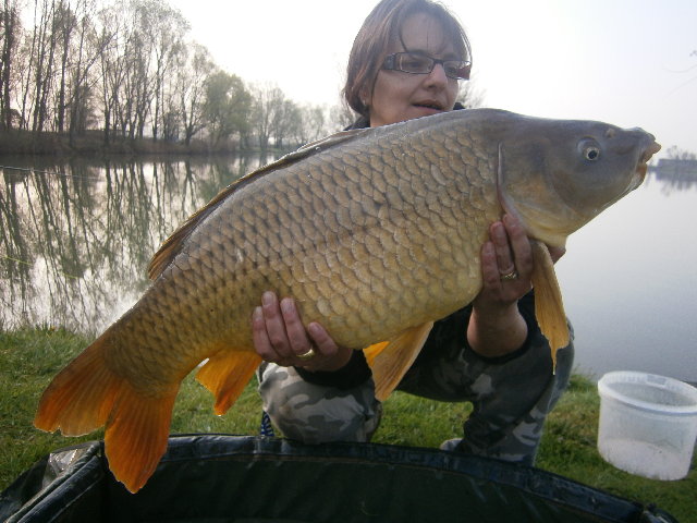 P3250062.JPG