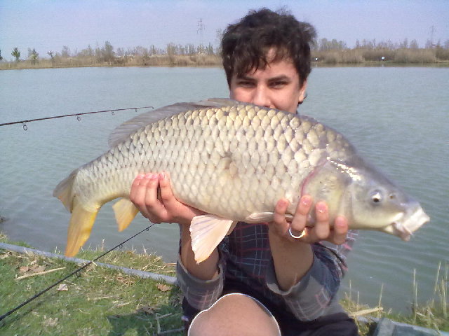 25032012024.jpg