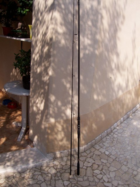 canne luca e daiwa 007.JPG