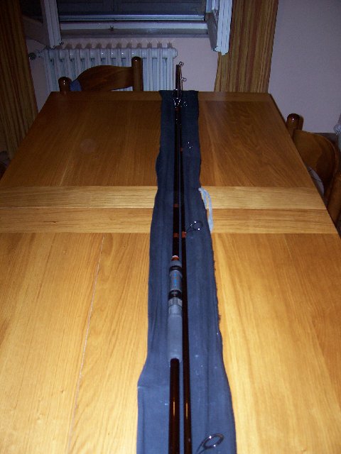 canne luca e daiwa 013.JPG