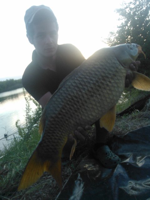 WP_000075.jpg