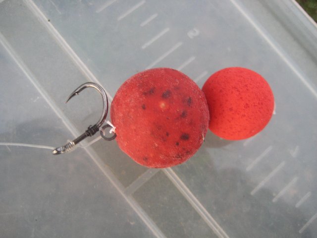 Pianeta Verde 26-27 settembre 010.jpg