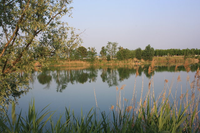 IMG_9907.JPG