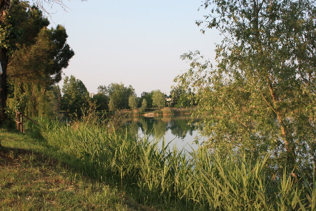 IMG_9908.JPG