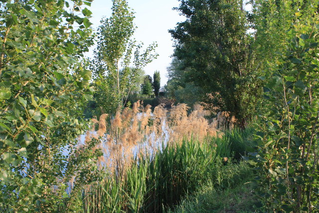 IMG_9909.JPG