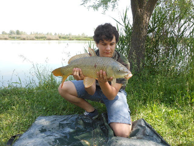 27-05-12_ 010.jpg