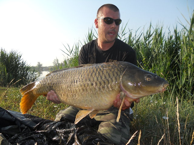 ostellato zona vallette giugno 2012 002.jpg