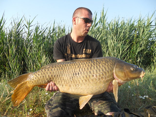 ostellato zona vallette giugno 2012 006.jpg