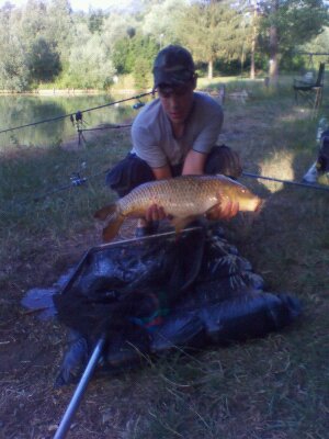 carpa.jpg