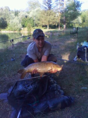 carpa2.jpg