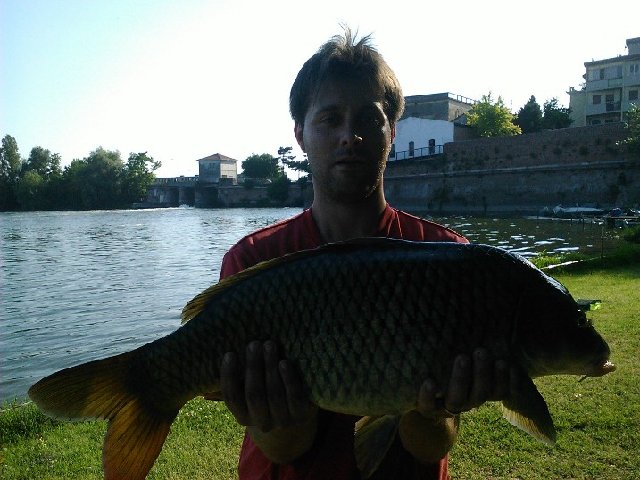 WP_000214.jpg