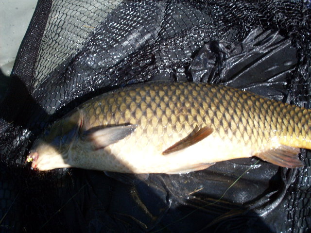 SDC11059.JPG