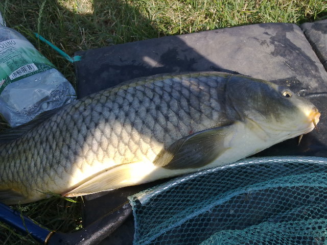 27062012680.jpg