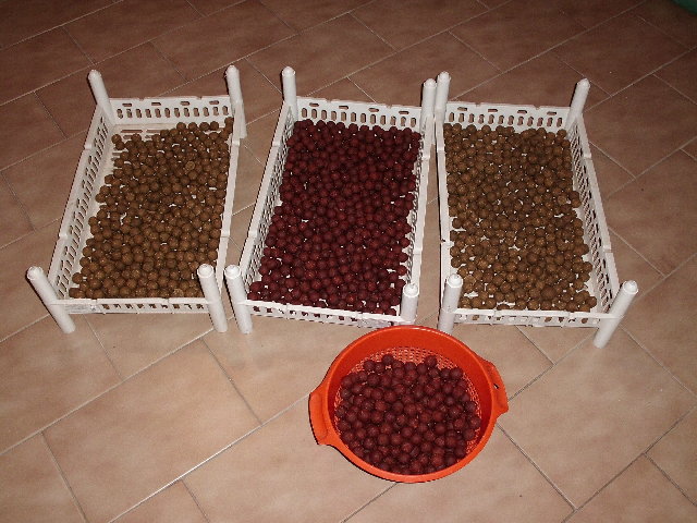 CIMG0475.JPG