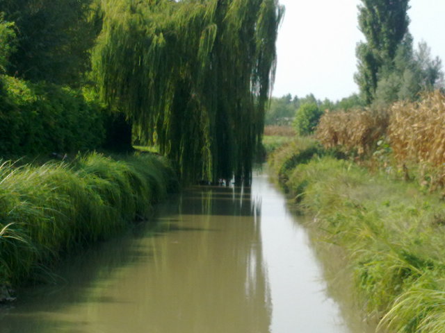 07082012735.jpg