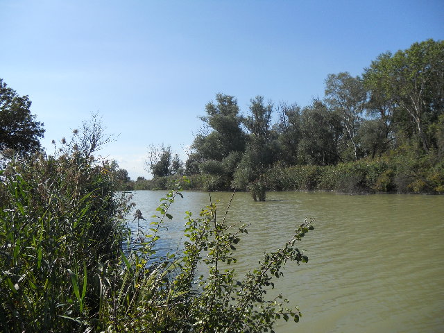 fossa s romualdo settembre 2012 004.jpg