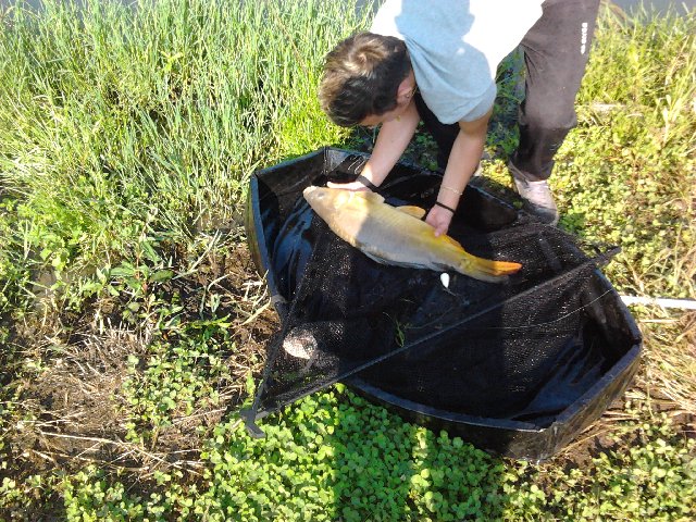 2012-09-09 09.40.24.jpg