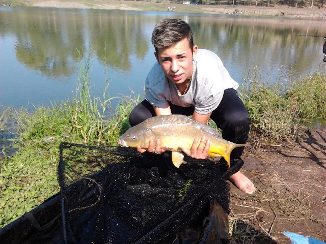 2012-09-09 10.37.26.jpg