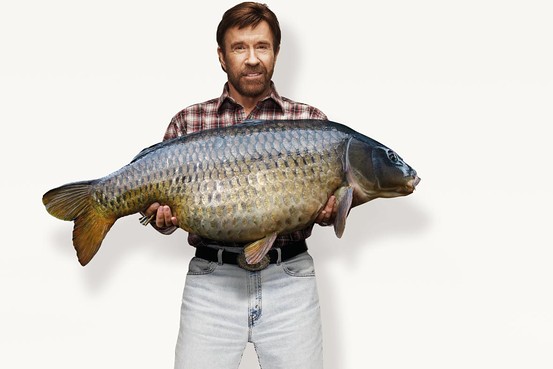 chuck norris.jpg