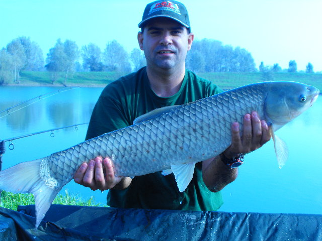 DSCF0164.JPG