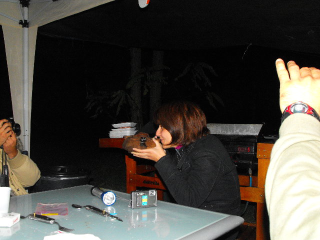 DSCF0206.JPG