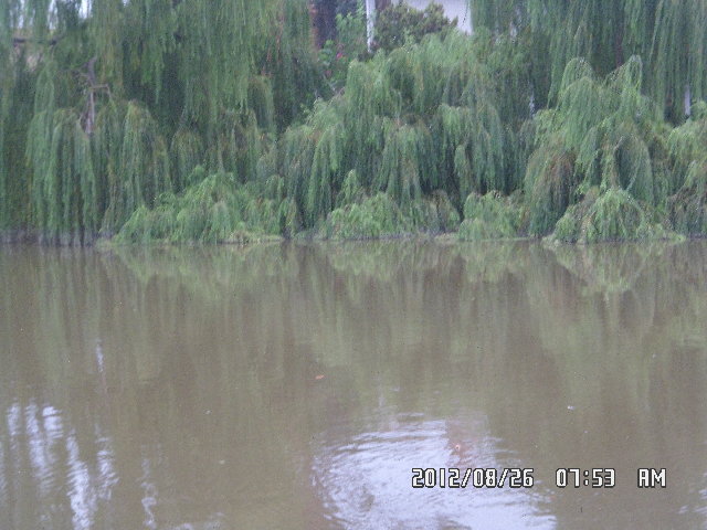 SAM_0229.JPG