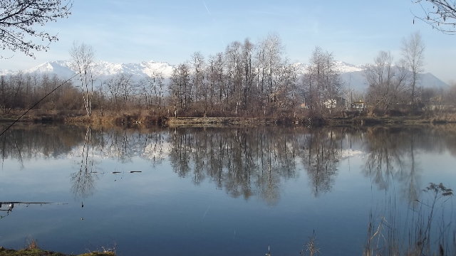 DSCF1172.JPG