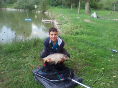 carpa.jpg