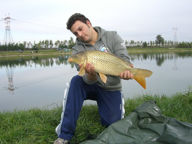 CIMG7480.JPG