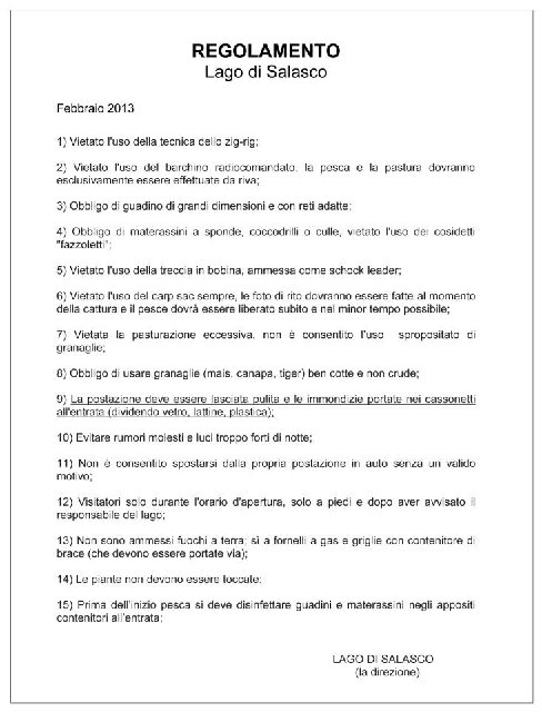 regolamento salasco.jpg
