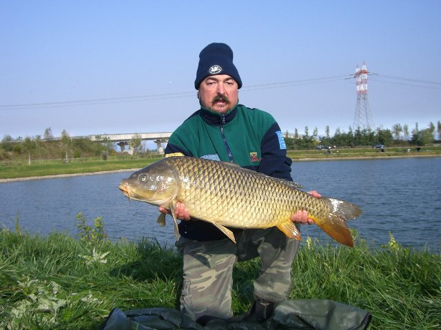 CIMG7498.JPG