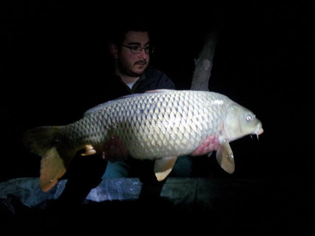 20130331_233105.jpg